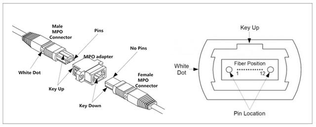 高密度布线解决方案——MPO光纤连接器/跳线